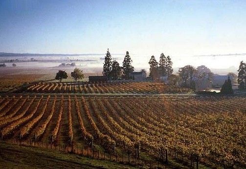 新世界著名葡萄酒产区有哪些