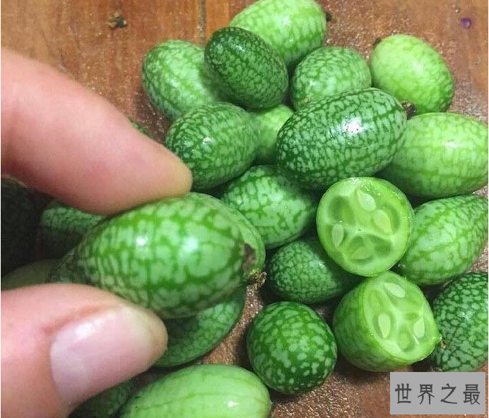 世界最小西瓜佩普基诺，只有3厘米大(1口10个)