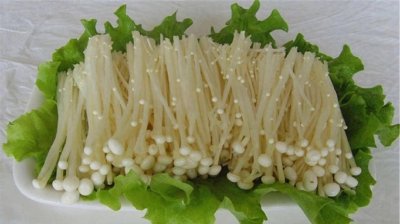 ​家里种金针菇竟这么简单？老农教你一招，7天吃上鲜嫩菇！