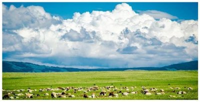 ​蒙古四等人制中，色目人什么来历？为何排在第二