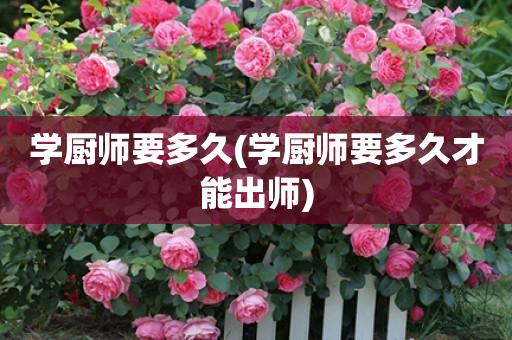 学厨师要多久(学厨师要多久才能出师)