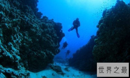 人类潜水最深纪录,深达332米(人类潜水极限)