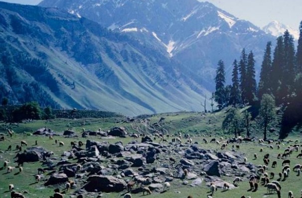 世界上最长的山脉：是喜马拉雅山长度的3倍还多，横跨7个国家