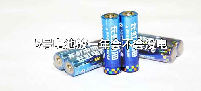 5号电池放一年会不会没电