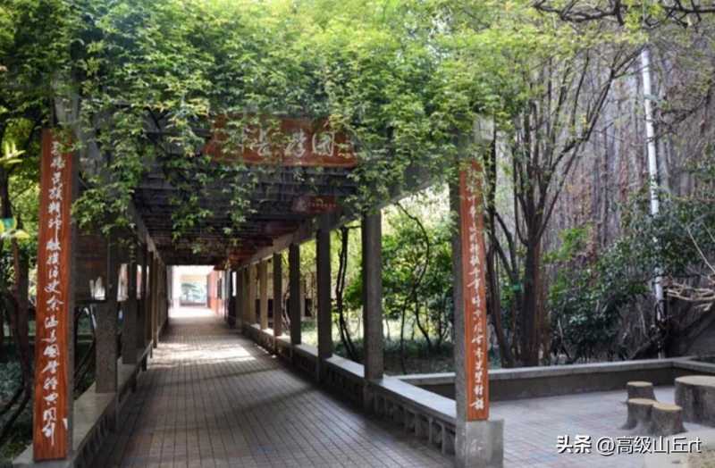 成都玉林中学(成都市玉林中学简介及招生概况)