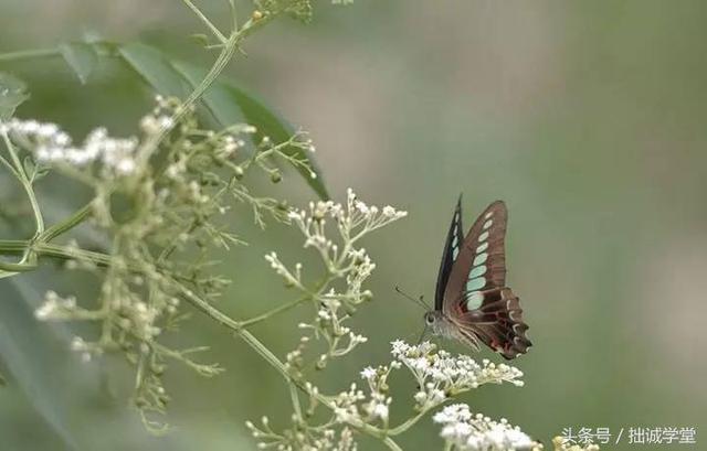 唐浩明：“拙诚”是湖南人的根
