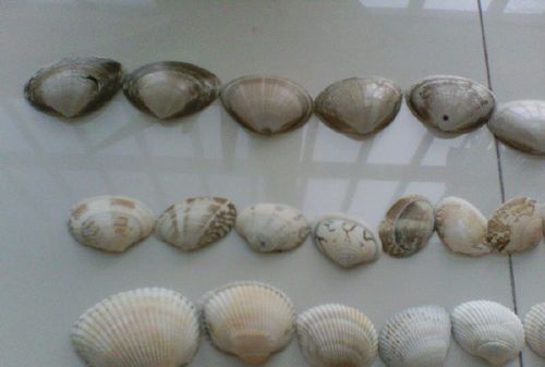 链家 链家的同事们