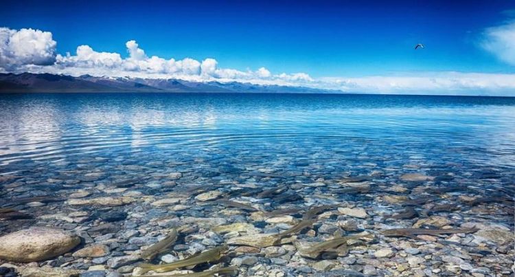 中国最大的咸水湖在哪