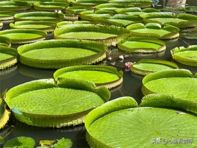 ​为什么要努力奋斗呢？