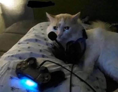 ​80年发行8分错版《猴票》价格多少？为什么贵？贵在哪里？