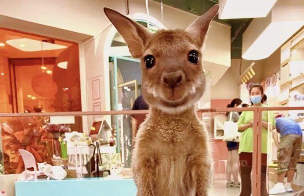 北京十大必逛的商场在哪里,来北京必逛的12个有特色商场