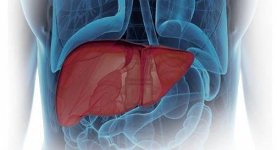 ​犀牛角能治肝硬化吗 中医药阻断逆转肝纤维化的希望与挑战