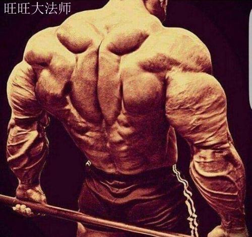 健身常练的核心力量是哪些部位(会练核心力量的人)(11)