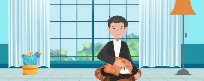 ​掉毛少的猫排行 掉毛少的猫咪十大品种