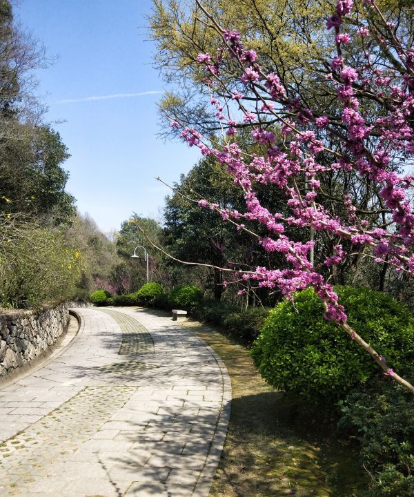 沧桑是什么意思,沧桑是什么意思图3