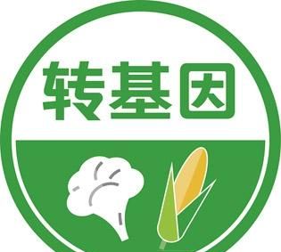转基因食品有哪些,市面上的转基因食品有哪些?图2