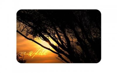 ​把老婆伤透了怎么挽回，如何挽回伤透了的老婆？