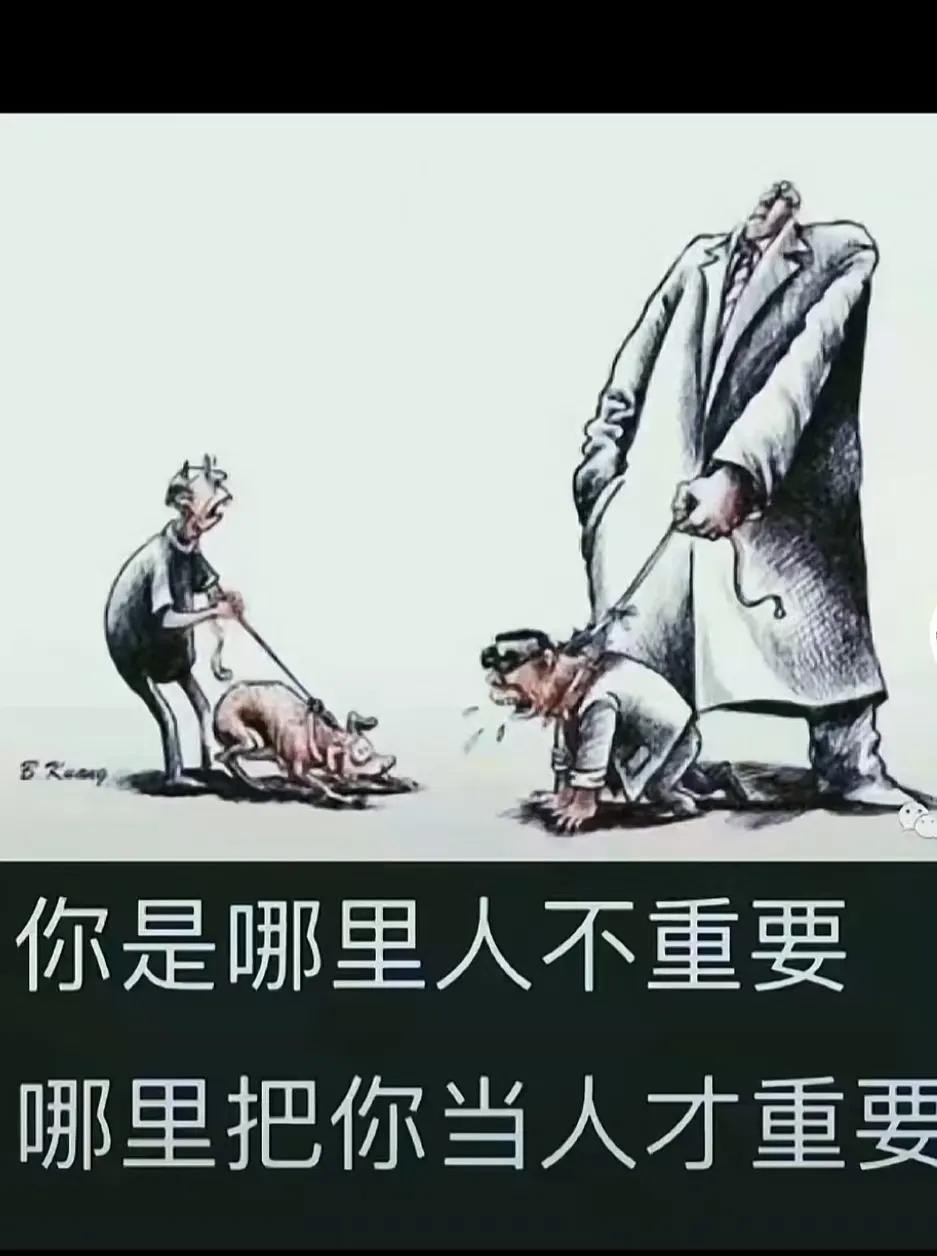 高级动物只有人类吗(人与动物的本质区别)