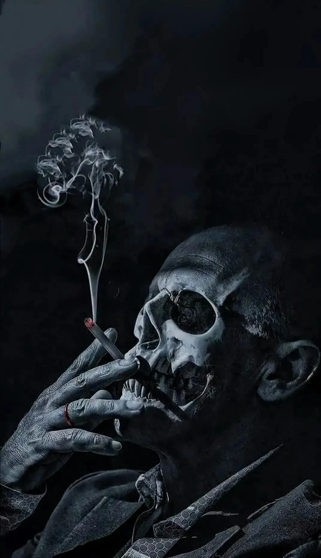 高级动物只有人类吗(人与动物的本质区别)