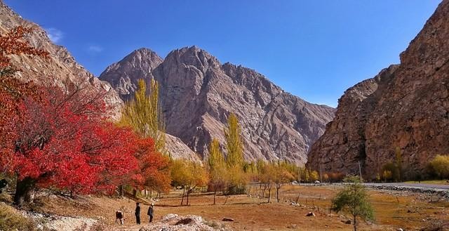 鲜为人知的意思(中考常考易错成语梳理)