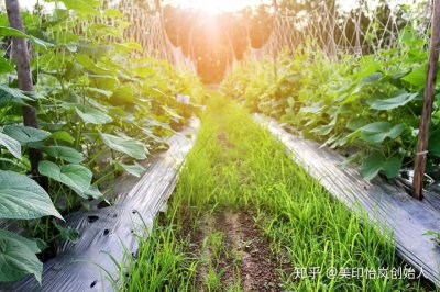 ​适合几千元的创业项目，几千元小本创业项目，小本创业项目做什么好