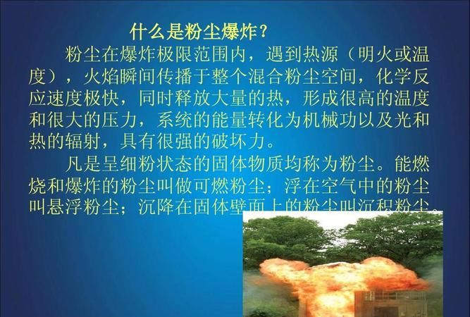 下列粉尘中具有爆炸危险性的是