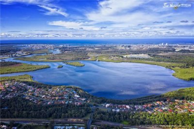 ​考拉和袋鼠是哪个国家的国宝 一个”样子货”一个有”天堂牧场”