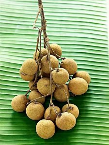 ​广东水果特产有哪几种（广东水果特产有哪几种图片）