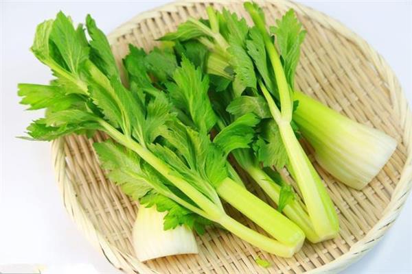 芹菜有草酸吗 芹菜要焯水吗 芹菜有草酸吗 芹菜要焯水吗