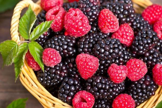 吃桑葚有助于睡眠吗 失眠吃桑葚有用吗 吃桑葚有助于睡眠吗 失眠吃桑葚有用吗