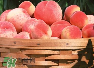 血桃产地在哪?血桃哪些地方产 血桃产地在哪?血桃哪些地方产