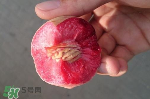 血桃产地在哪?血桃哪些地方产 血桃产地在哪?血桃哪些地方产