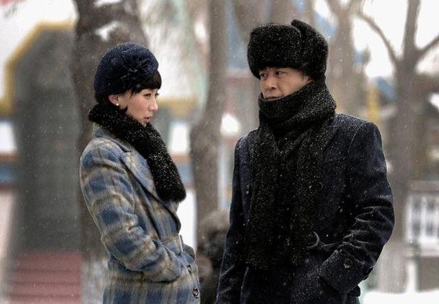 国内公认的最好看的三部谍战剧（分享六部谍战剧）(5)