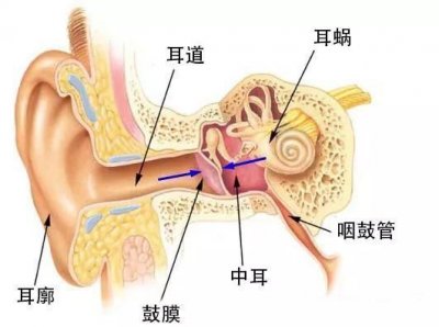 ​乘坐飞机出现耳胀怎么解决（为什么坐飞机耳朵会疼？其实可以这样解决……）