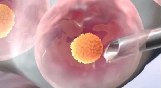 上海小红楼事件(回顾上海红楼事件)