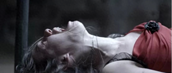 上海小红楼事件(回顾上海红楼事件)