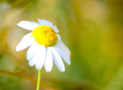 ​灰色五行属什么属性（浅谈五行与颜色的关系）