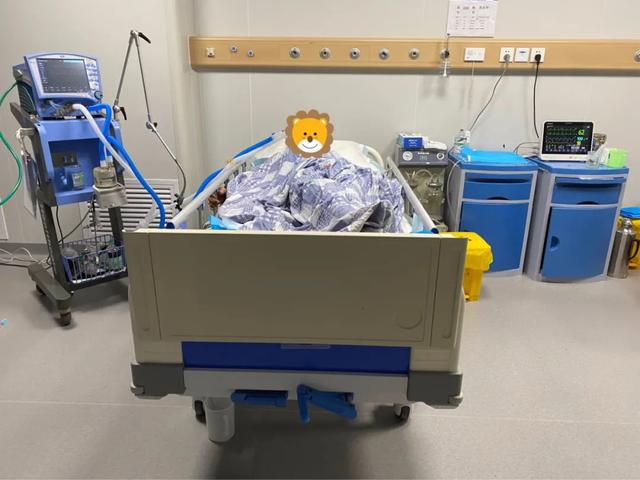 剧毒多头蛇（床头惊现银环蛇）(9)