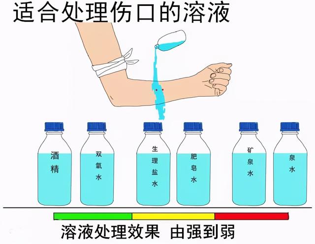 剧毒多头蛇（床头惊现银环蛇）(14)