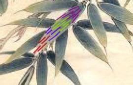 苏绣16种针法教程初学（苏绣简易入门教程）(22)