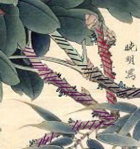 苏绣16种针法教程初学（苏绣简易入门教程）(24)