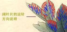 苏绣16种针法教程初学（苏绣简易入门教程）(21)
