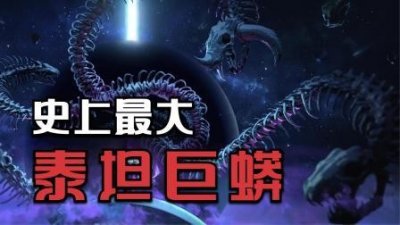 ​全世界最大的10条超级巨蛇！第一名重量超过1100公斤#艺术