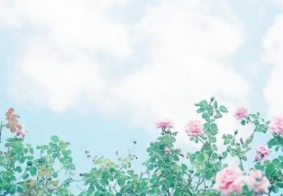 ​招商银行白金分期信用卡有哪些权益