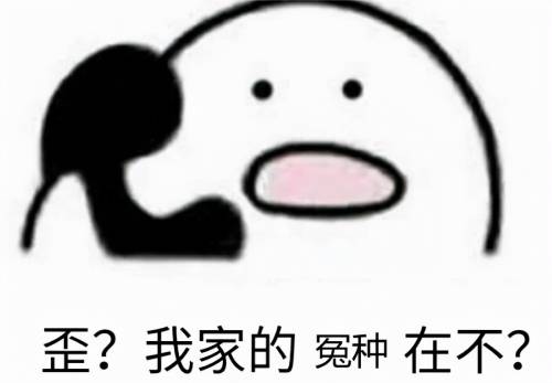 我家的冤种在吗表情包 我家的冤种在吗表情包