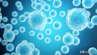 ​十亿倍放大：叶子细胞中的微观宇宙洞察！