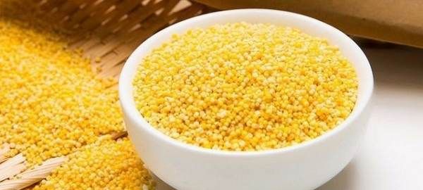 生板粟米怎样保存,小米是大米的一种吗蚂蚁庄园图5