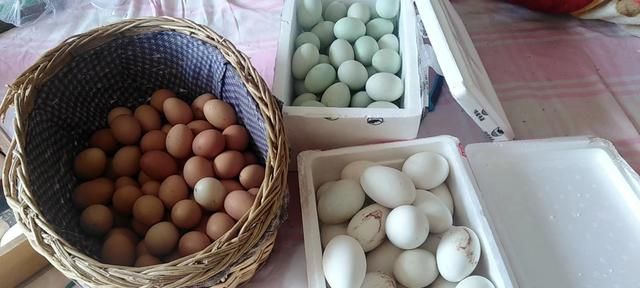 立夏吃蛋的寓意，农村老话说“立夏吃了蛋,热天不疰夏”是什么意思？图4