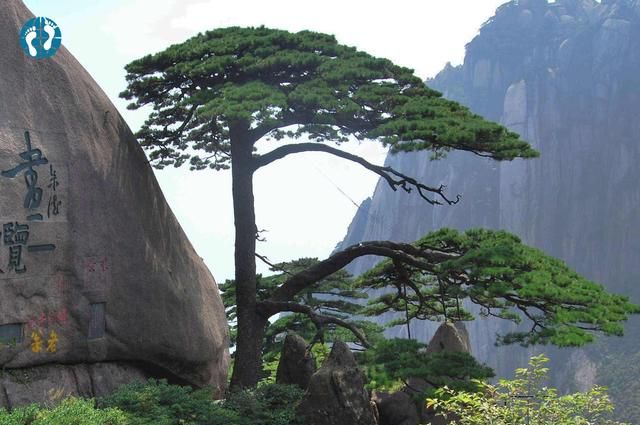 江浙沪是哪里，江浙沪是哪里？图13