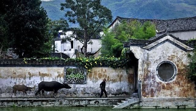 江浙沪是哪里，江浙沪是哪里？图8